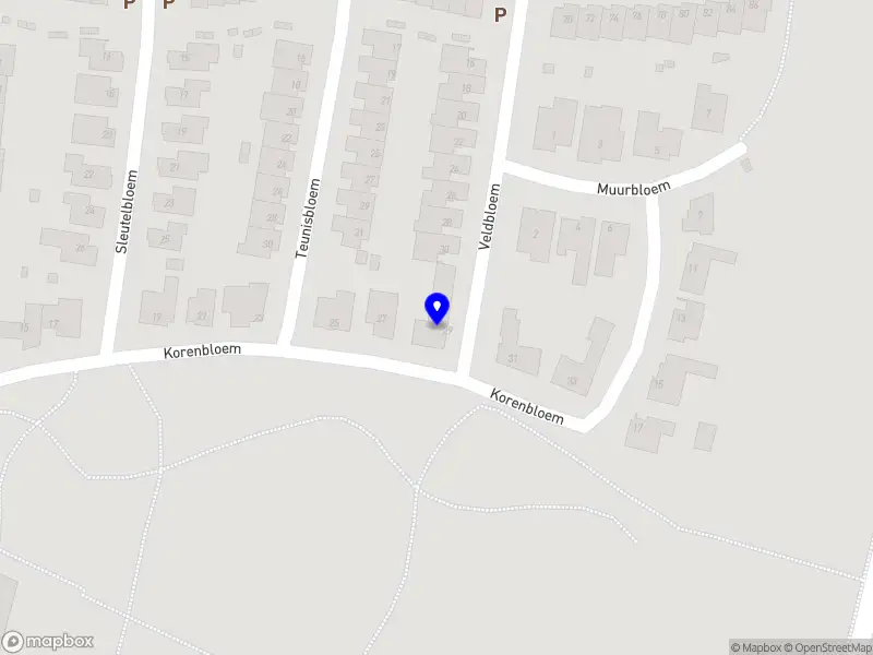 Nieuw bedrijf Rachelle Leisure Parks B.V.