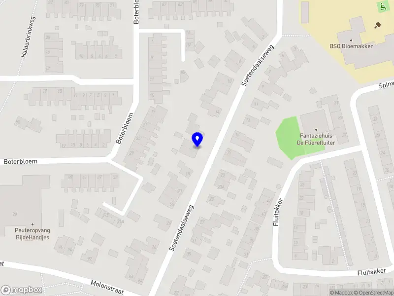 Saarli Management B.V.