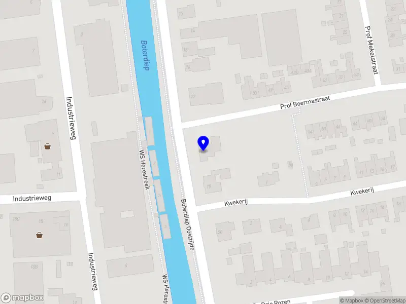 Nieuw bedrijf Curious magpie