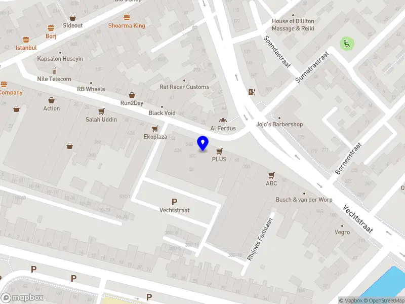 Zangeres Elise Westerhof