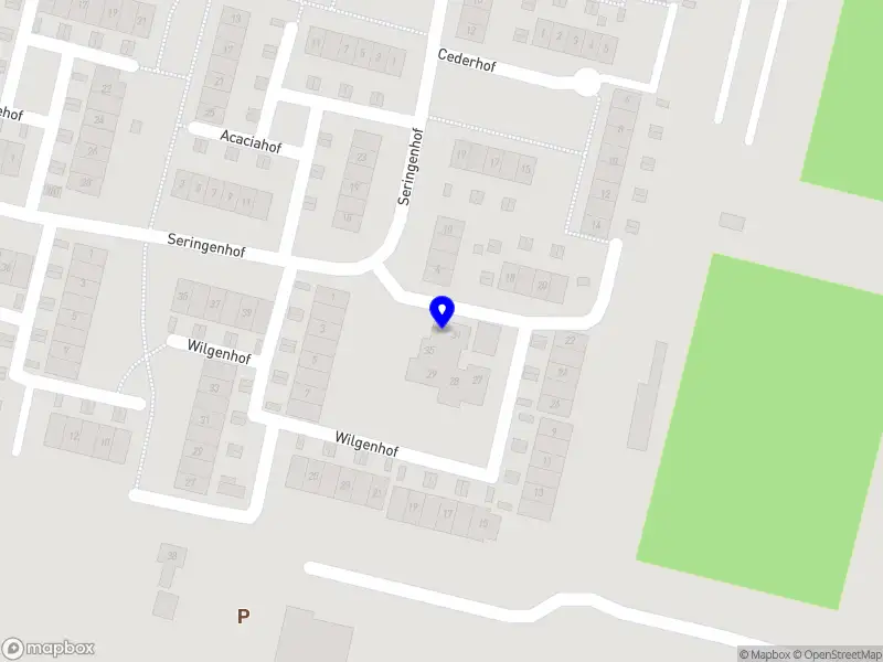 Robin Bakker Videography