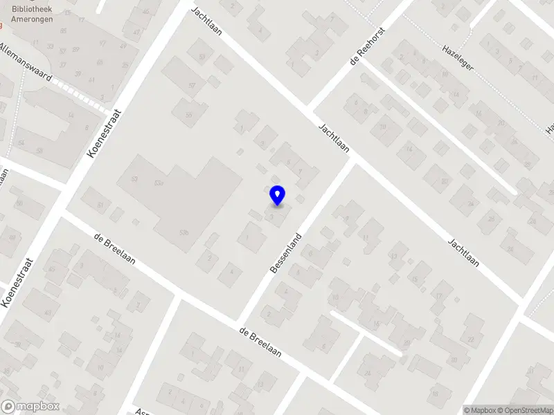 Leefstijlcoach Madieke