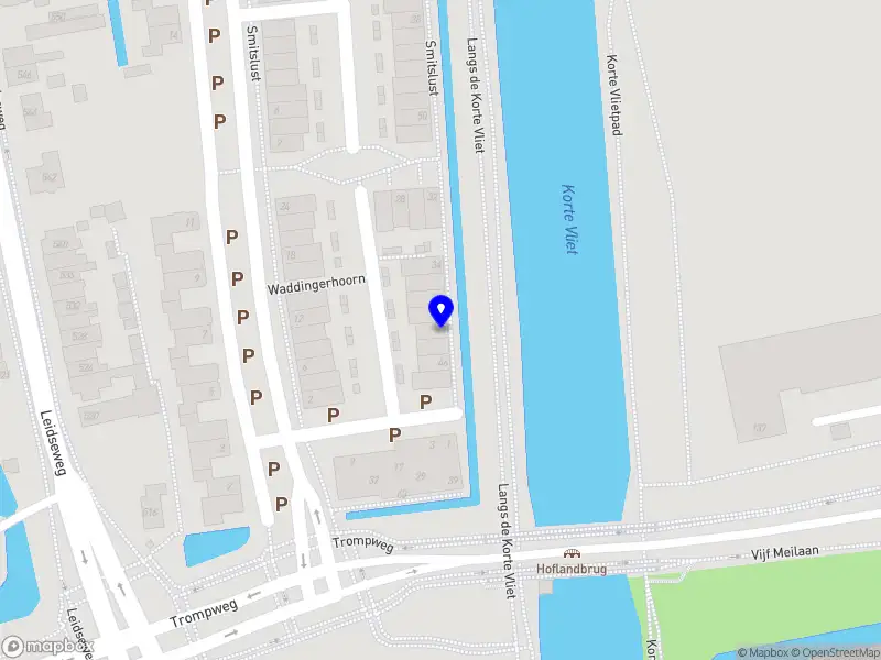 Meneer de Consultant