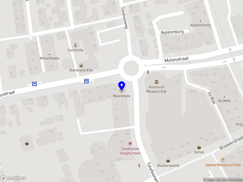 Hoofdvereniging van Eigenaars Molenstraat/hoek Notaris Fischerstraat te Ede