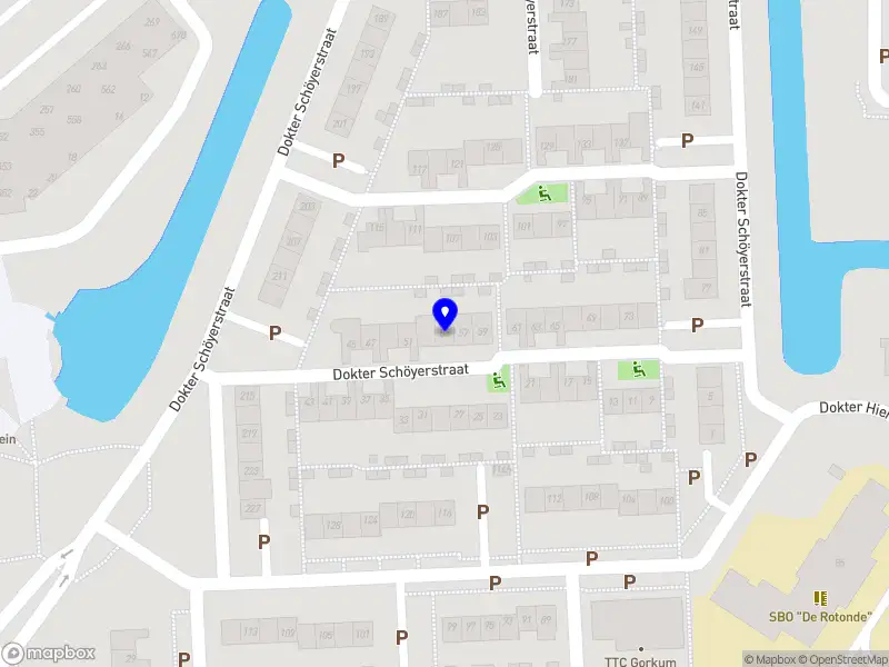 Mammoth international