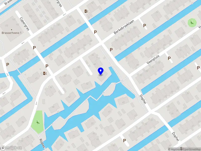 Jeroen van der Burg consulting