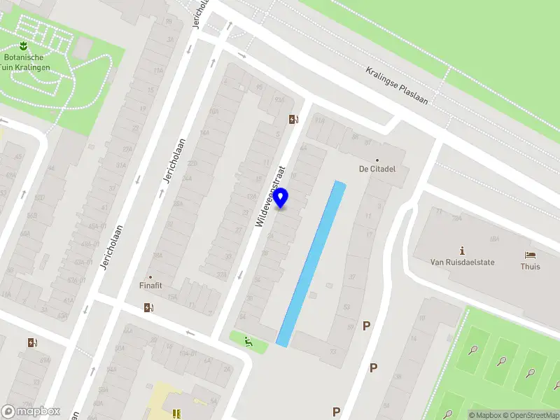 Birchview Management B.V.