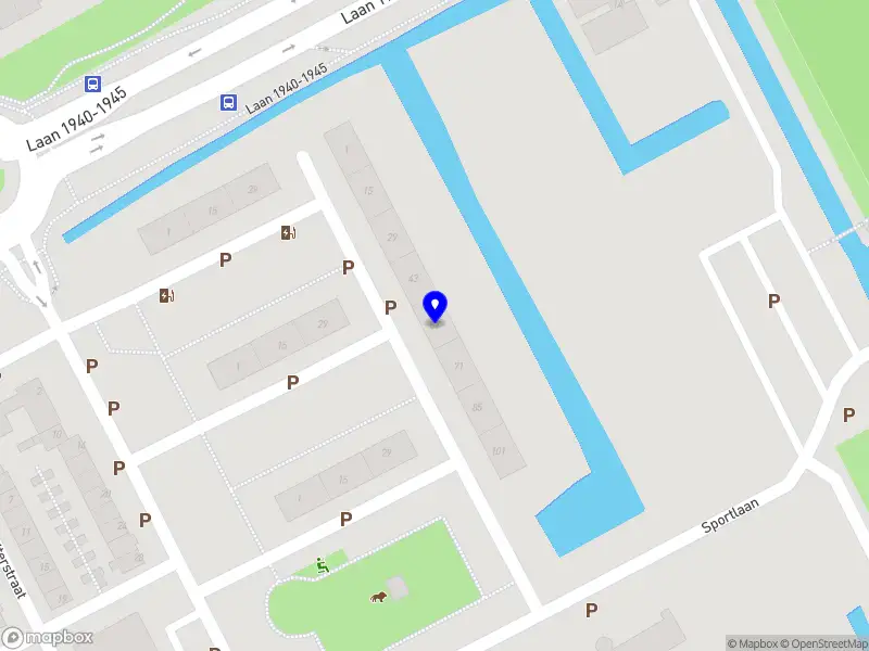 Damian Woloch Kracht