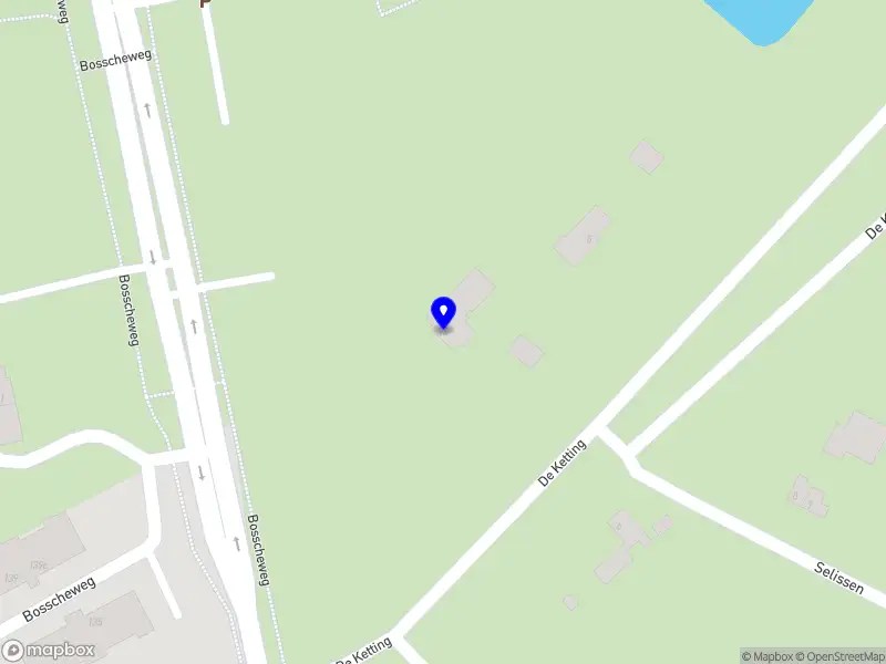 5 elementen vitaliteit