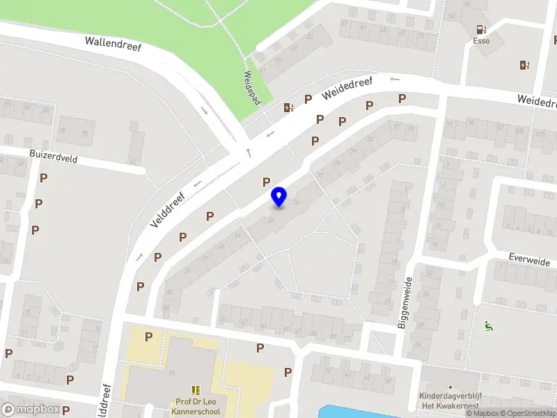 Sophie verpleegkundige