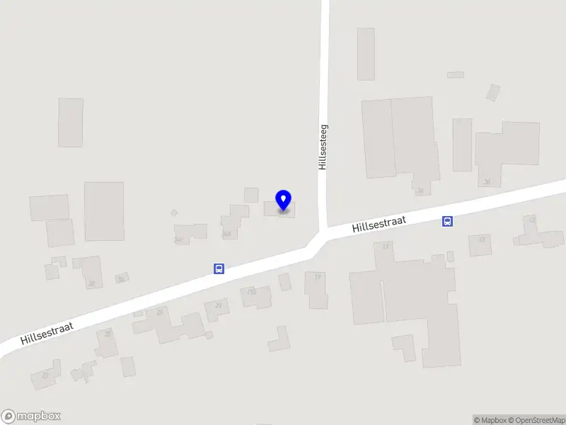 Vortex Interim Solutions