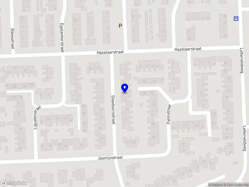 Zo Schoon Daphne Kok