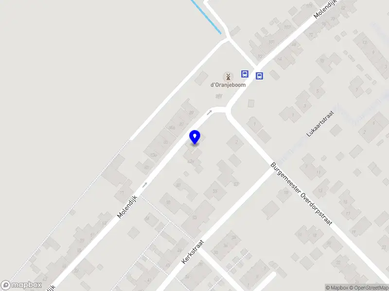 Natural beauty by Patricia