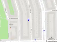 Svetlana Schagen Art