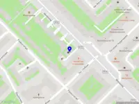 Michelle van den Brink | Professionals