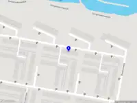 Manon's art for wildlife and animal care