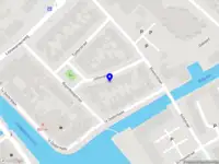 Next Bloom Marketing