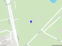 5 elementen vitaliteit