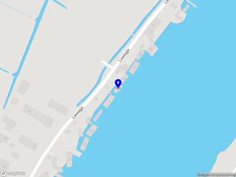 Sportmassage Wedstrijdpaard