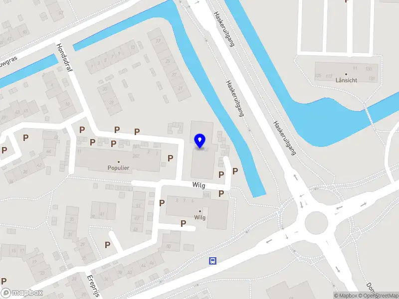 Nabis´s Coaching and Grow