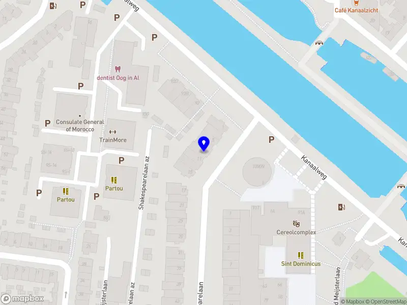 AVL Patent Consulting