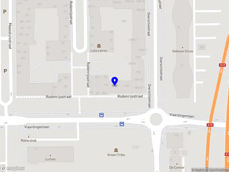 Dexter Bierenbroodspot Coaching