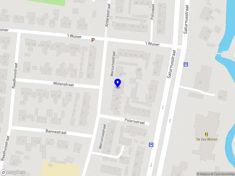 Sharona Coaching & Advies