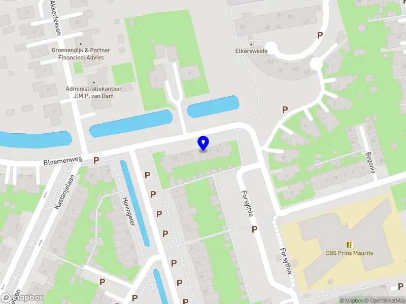 AP Digital Print Studio