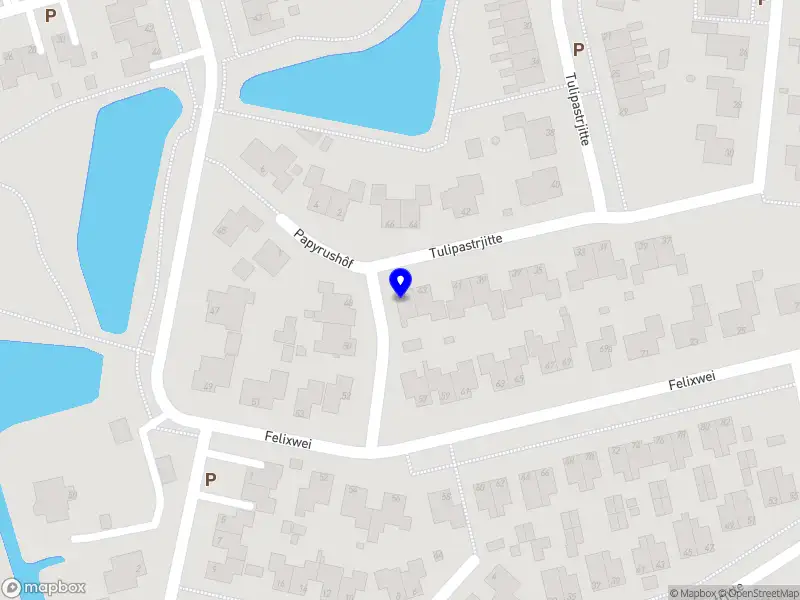 4Motion auto service