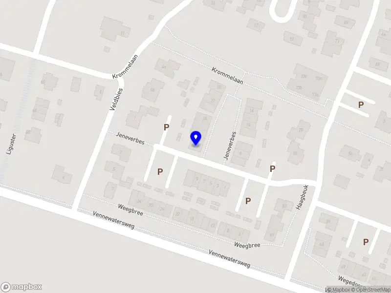 Amber Video & Photography