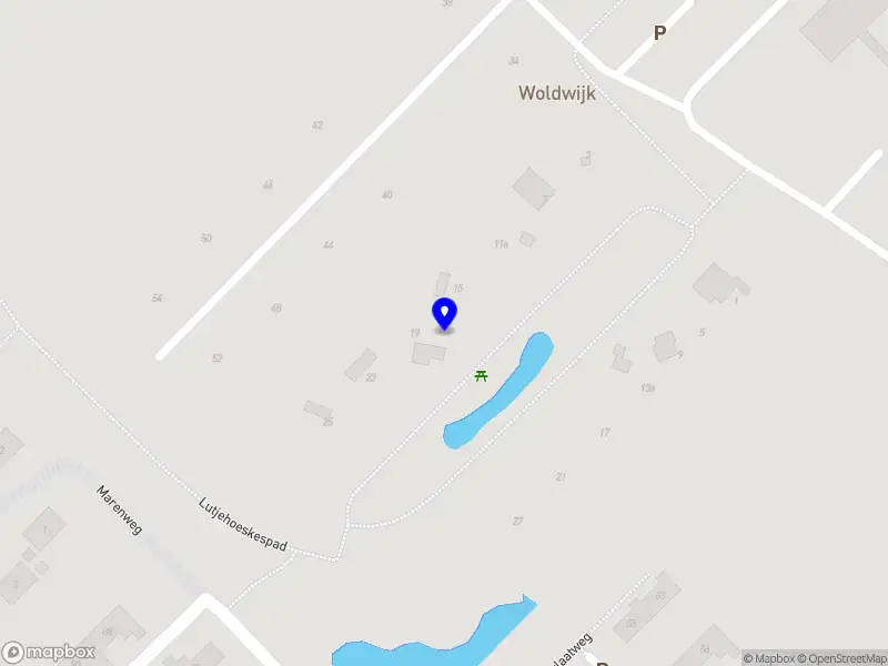 De Groene Draak Bouw