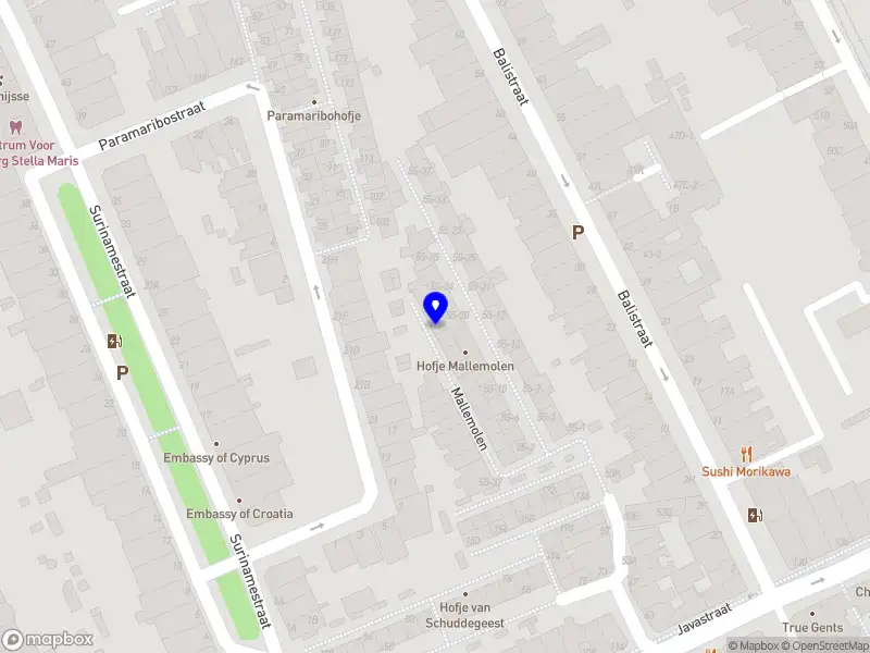 Corvidae Holding B.V.