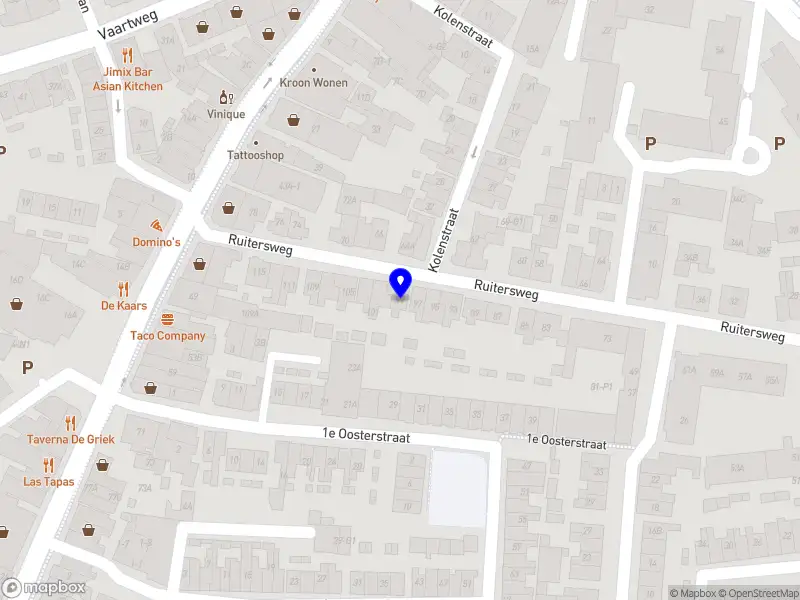 Vincent van Wijk - Musicus