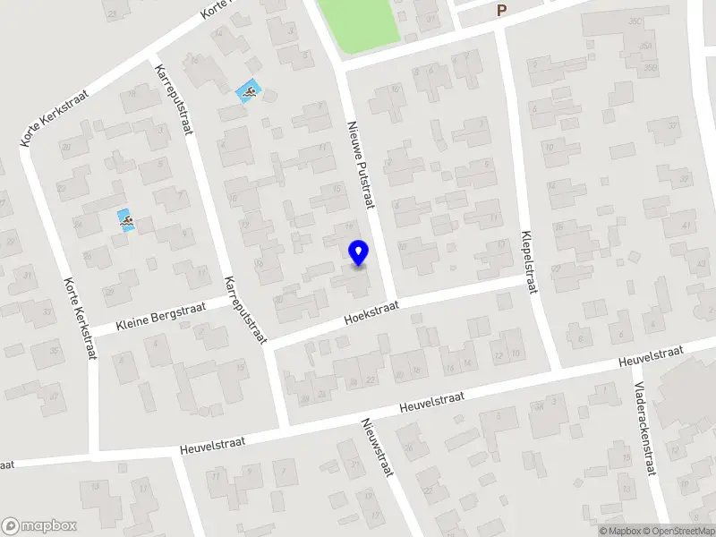 Bloemsierkunst Amaranthus