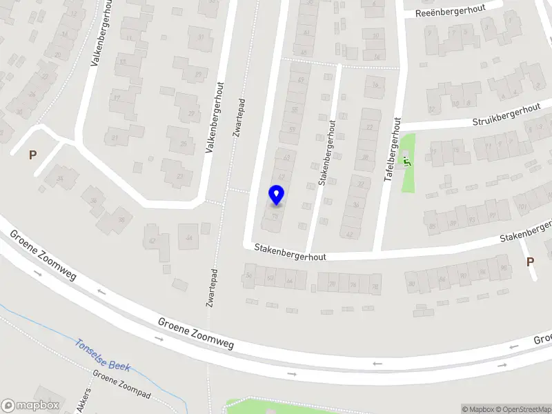 Souldriven Young Women