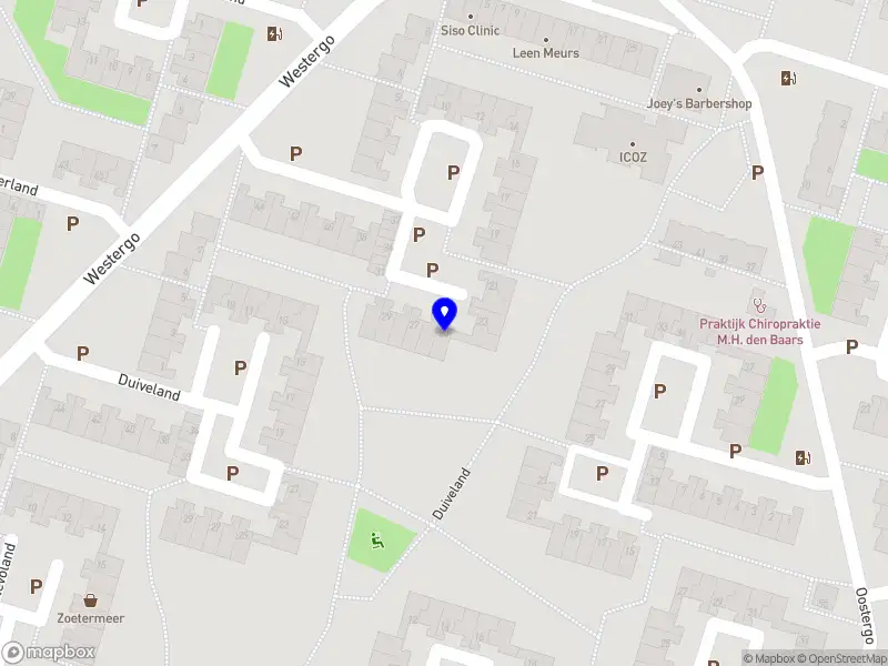 Devler Professional Services B.V.