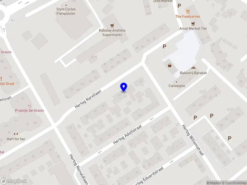 Aatje’s deluxe cleaning