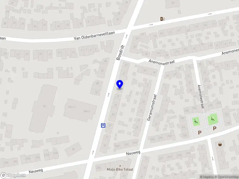 Van der Hoeven Creations