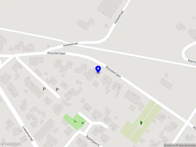 R. Goossens Professional Services