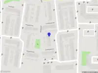 Metselaertje Mortels