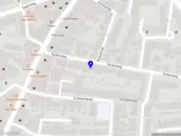 Vincent van Wijk - Musicus