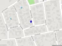 Bloemsierkunst Amaranthus