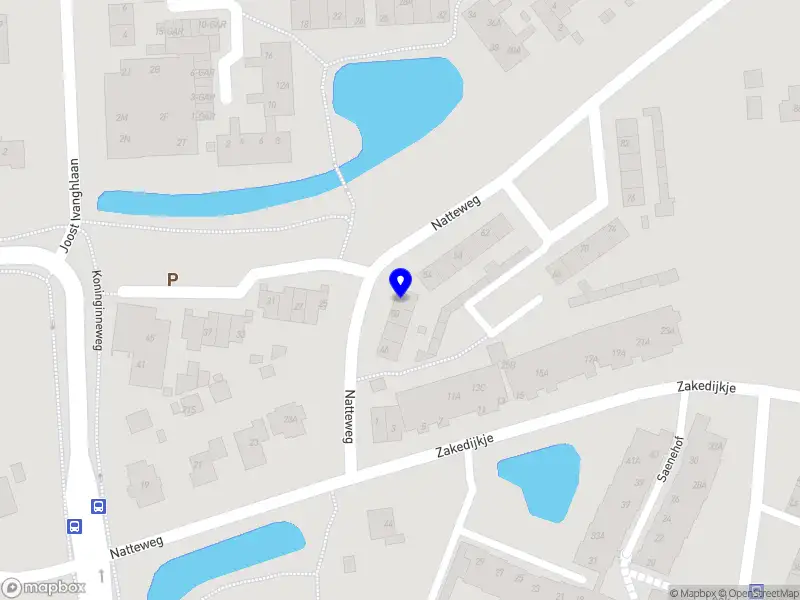 Nieuw bedrijf Opus Naturea B.V.