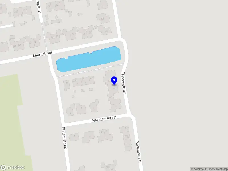 Matz Creative Solutions