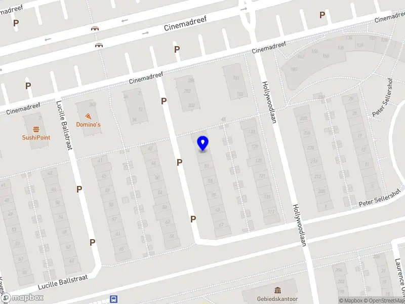 SARU Technology Solutions