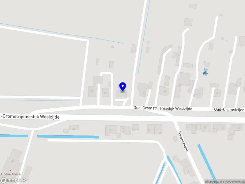 Kees den Hollander / Advies