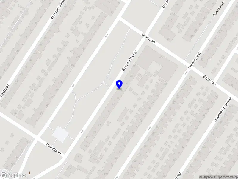 Nieuw bedrijf Social Media Nederland