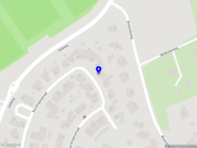 Maaike Schwering Tekst en Redactie