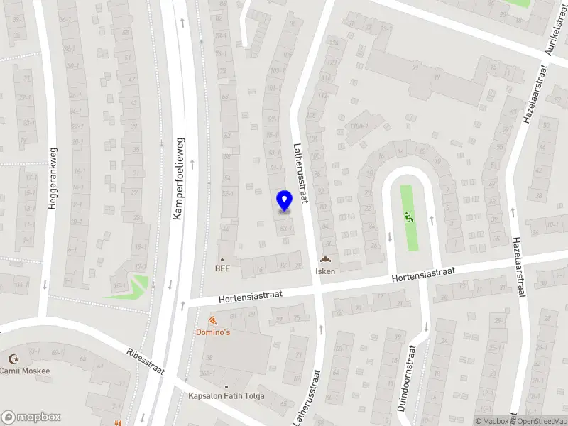 Joan Wehl Social Work