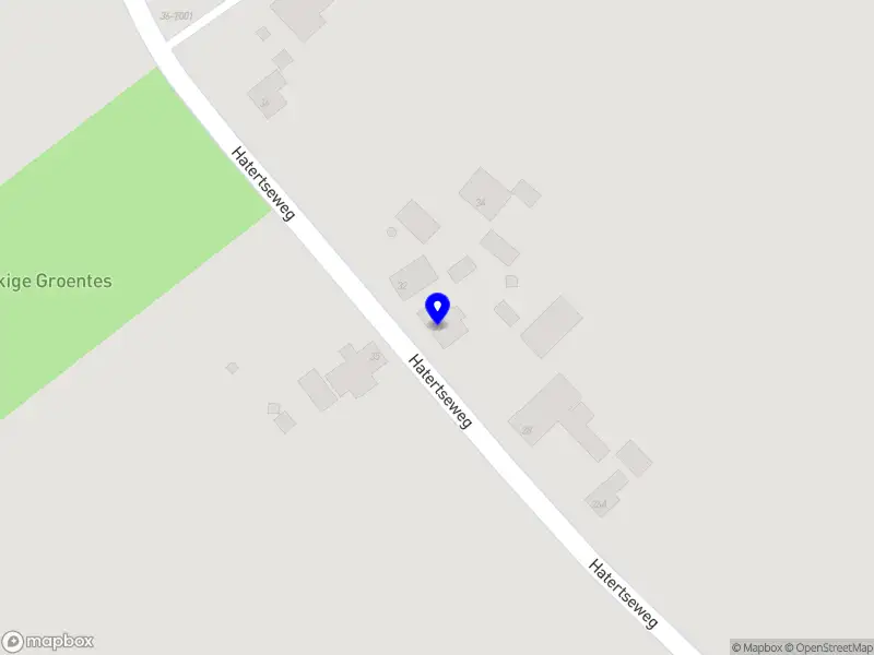 De Mobiliteitsontwikkelaar